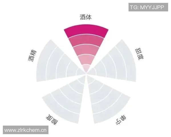 足球比赛规则概述与关键要素解析助你轻松理解比赛流程