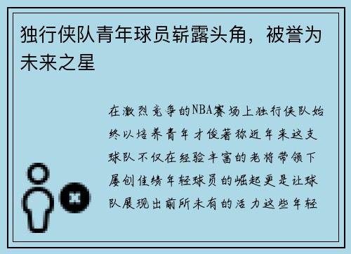 独行侠队青年球员崭露头角，被誉为未来之星